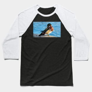 Wood Duck Posing Staring Baseball T-Shirt